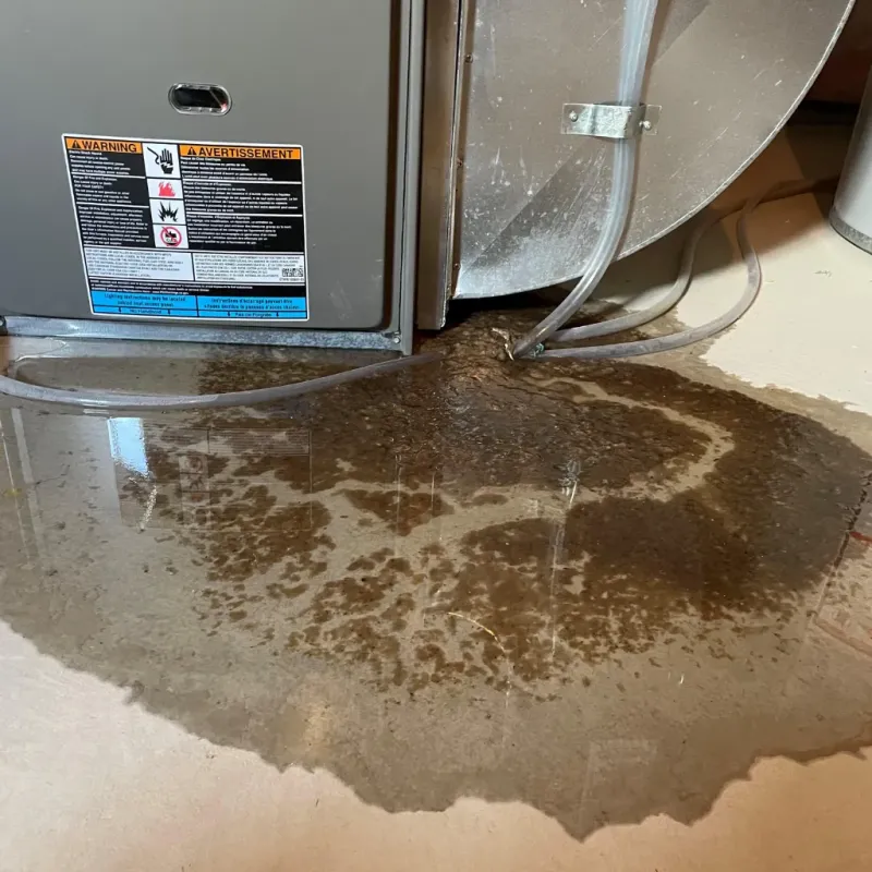 Appliance Leak Cleanup in Fairview, TN